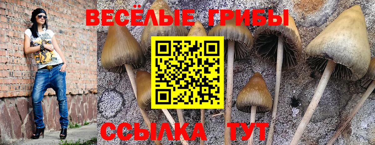 Псилоцибиновые грибы ЛСД  Галлюциногенные грибы ЛСД  Вход с VPN  Корсаков 